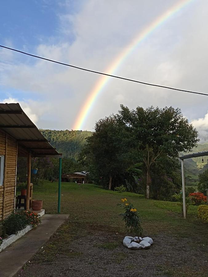 Green Bamboo Lodge San Francisco de Borja Exterior photo