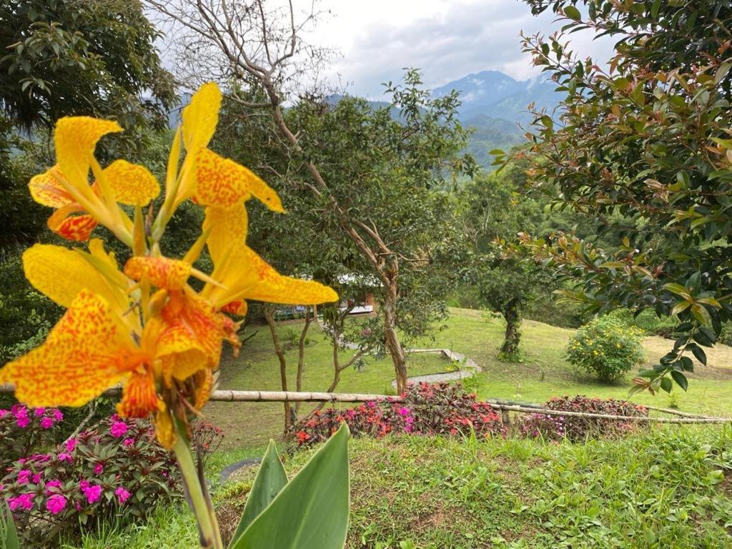 Green Bamboo Lodge San Francisco de Borja Exterior photo