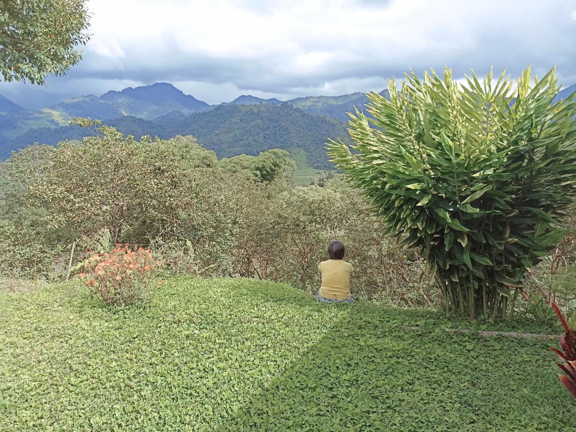 Green Bamboo Lodge San Francisco de Borja Exterior photo