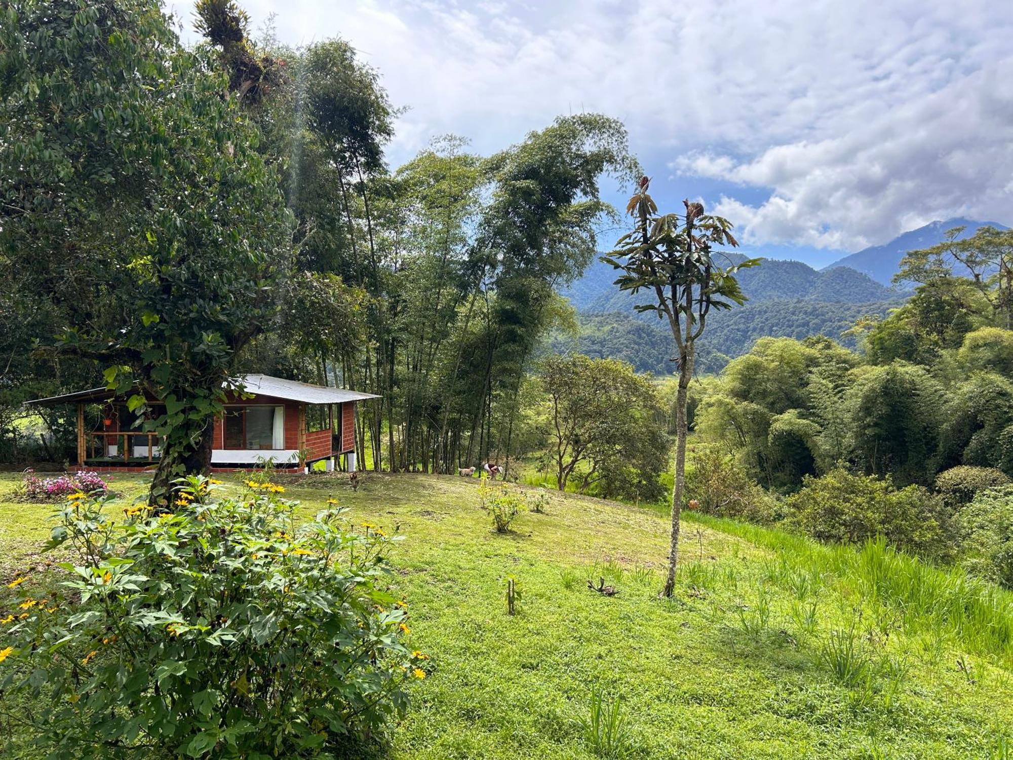 Green Bamboo Lodge San Francisco de Borja Exterior photo