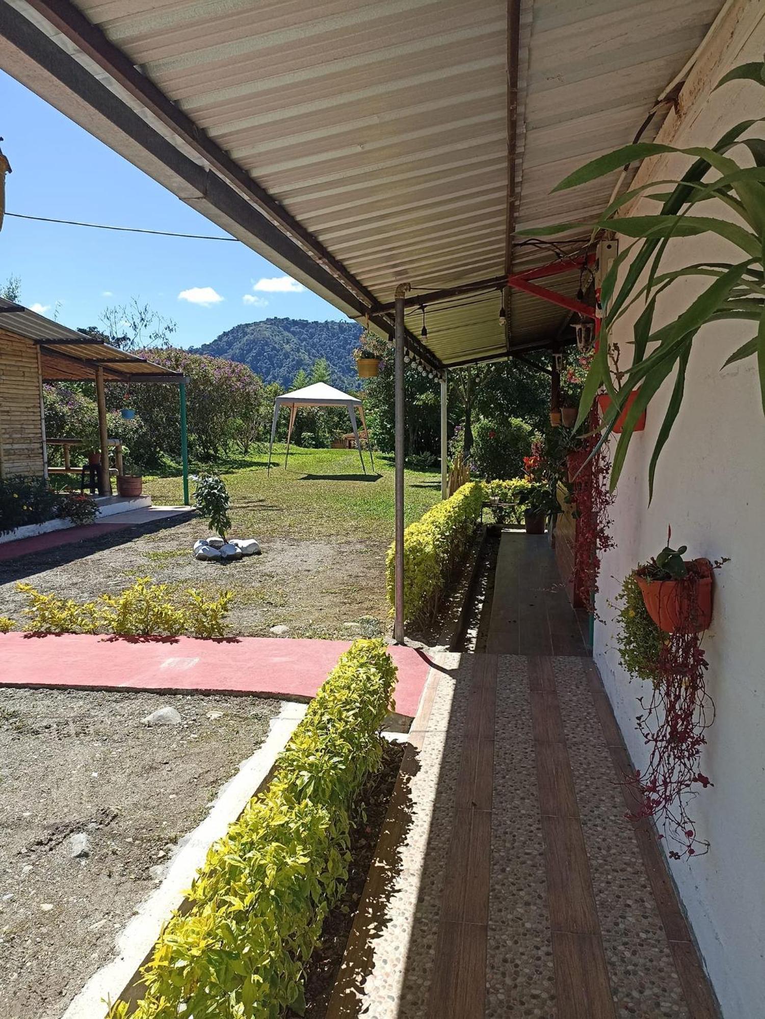 Green Bamboo Lodge San Francisco de Borja Exterior photo