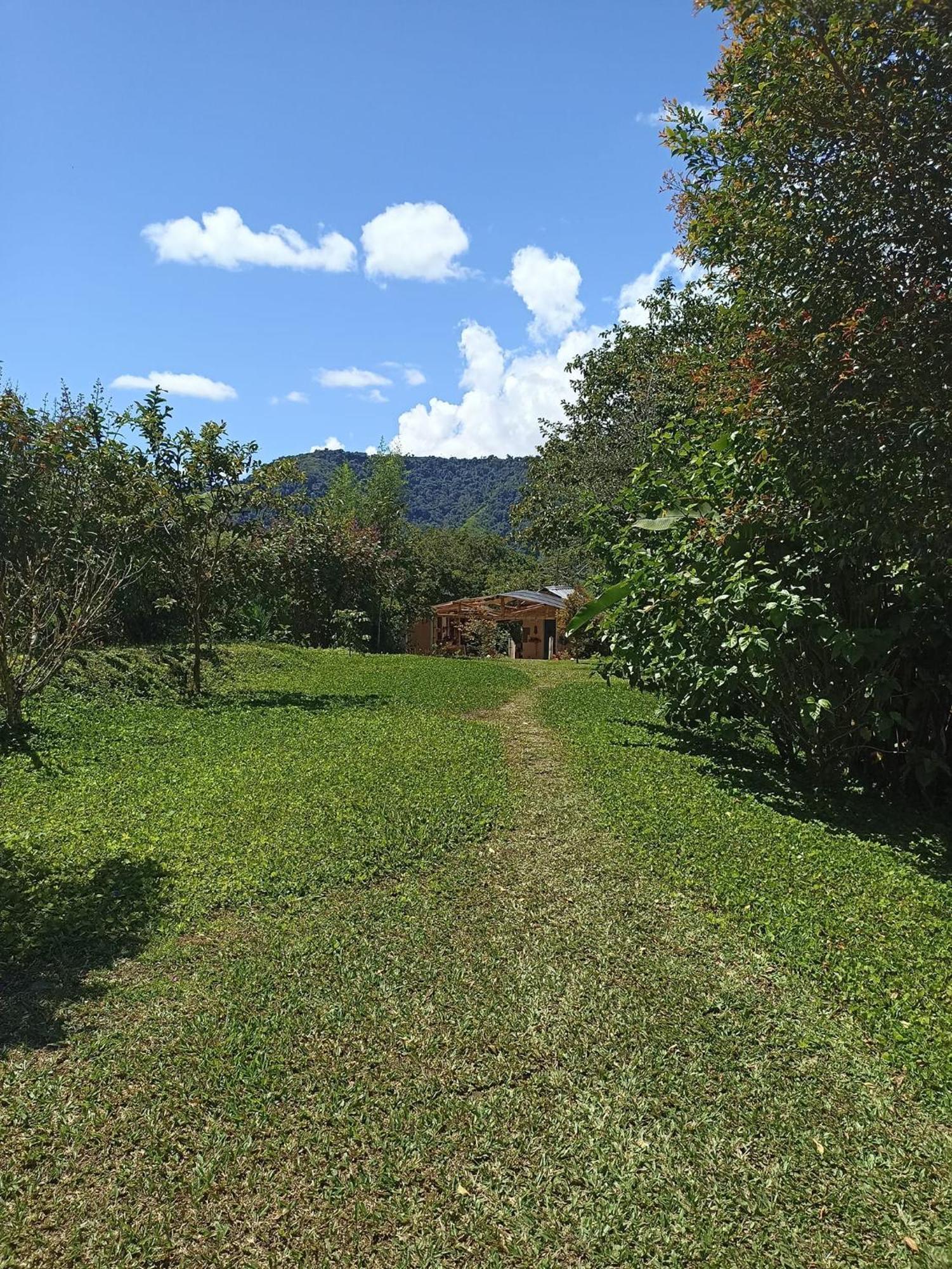 Green Bamboo Lodge San Francisco de Borja Exterior photo