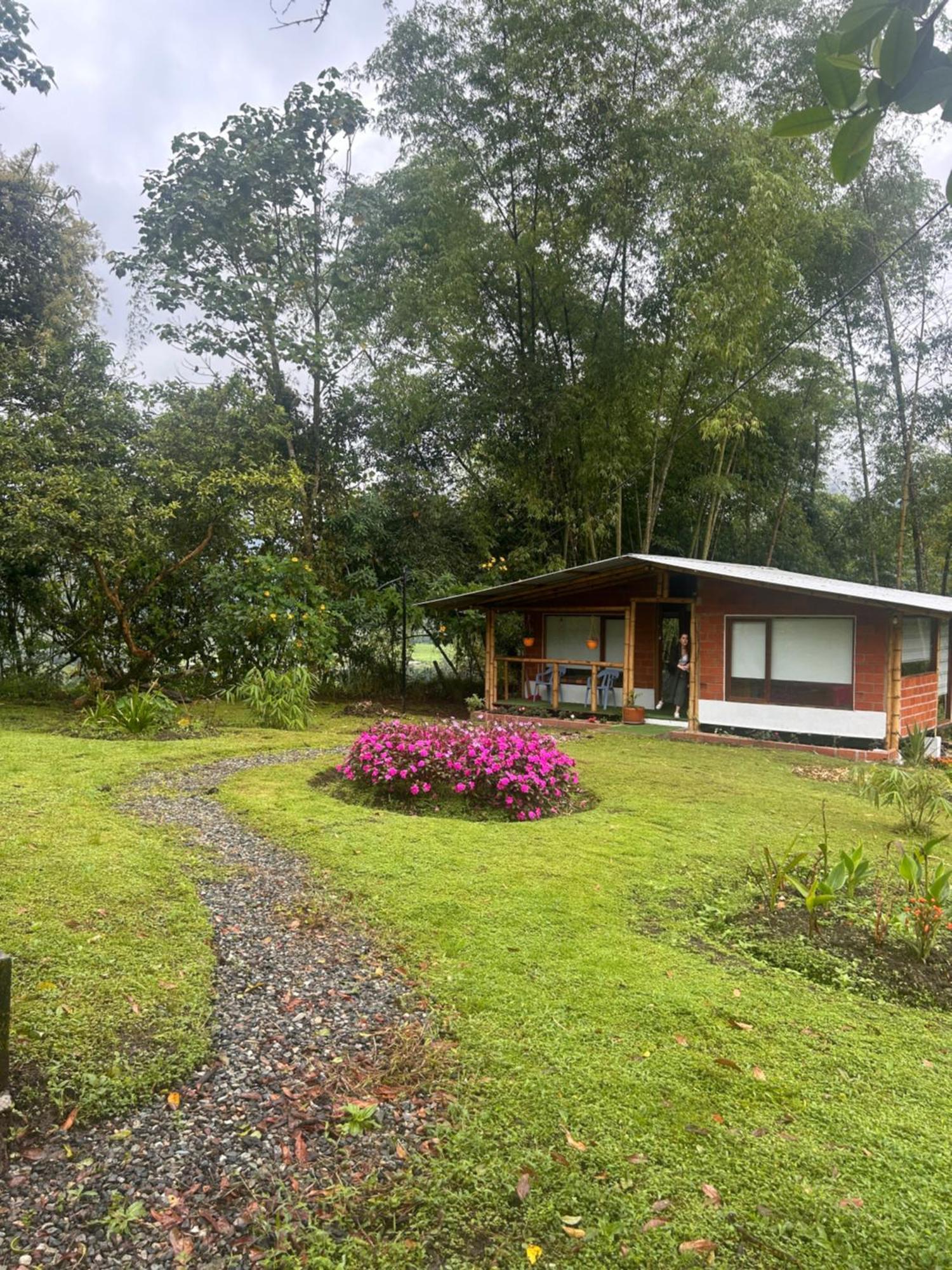 Green Bamboo Lodge San Francisco de Borja Exterior photo